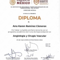 Ampliar imagen: certificate 1