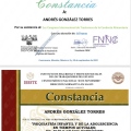 Ampliar imagen: certificate 4