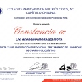 Ampliar imagen: certificate 5