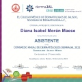Ampliar imagen: certificate 11