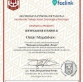 Ampliar imagen: certificate 8