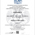 Ampliar imagen: certificate 6