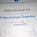 Ampliar imagen: certificate 8