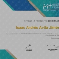 Ampliar imagen: certificate 9