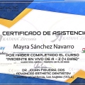 Ampliar imagen: certificate 6