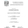 Ampliar imagen: certificate 8