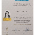 Ampliar imagen: certificate 3