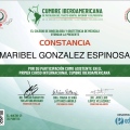 Ampliar imagen: certificate 5
