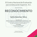 Ampliar imagen: certificate 2