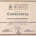 Ampliar imagen: certificate 5