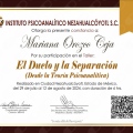 Ampliar imagen: certificate 9