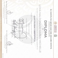 Ampliar imagen: certificate 6