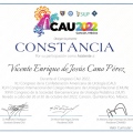 Ampliar imagen: certificate 3