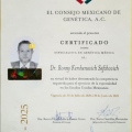 Ampliar imagen: certificate 5