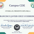 Ampliar imagen: certificate 20