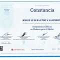 Ampliar imagen: certificate 17