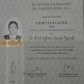 Ampliar imagen: certificate 1