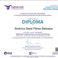 Ampliar imagen: certificate 7