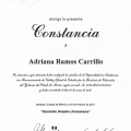 Ampliar imagen: certificate 11