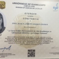 Ampliar imagen: certificate 4