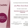 Ampliar imagen: certificate 11
