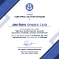 Ampliar imagen: certificate 6