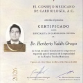 Ampliar imagen: certificate 1