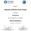 Ampliar imagen: certificate 14