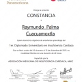 Ampliar imagen: certificate 11