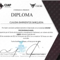 Ampliar imagen: certificate 3