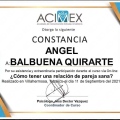 Ampliar imagen: certificate 13