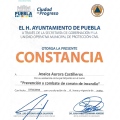 Ampliar imagen: certificate 23