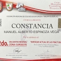 Ampliar imagen: certificate 11