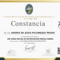 Ampliar imagen: certificate 14