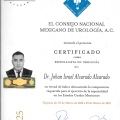 Ampliar imagen: certificate 2