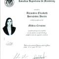 Ampliar imagen: certificate 8