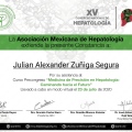 Ampliar imagen: certificate 11