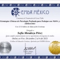Ampliar imagen: certificate 3