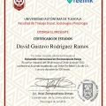 Ampliar imagen: certificate 4