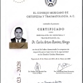 Ampliar imagen: certificate 4