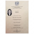 Ampliar imagen: certificate 5