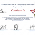 Ampliar imagen: certificate 19