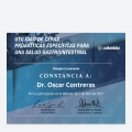 Ampliar imagen: certificate 21