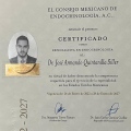 Ampliar imagen: certificate 1
