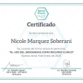 Ampliar imagen: certificate 9
