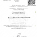 Ampliar imagen: certificate 13