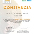 Ampliar imagen: certificate 3