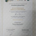 Ampliar imagen: certificate 9