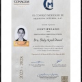 Ampliar imagen: certificate 1