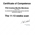 Ampliar imagen: certificate 3